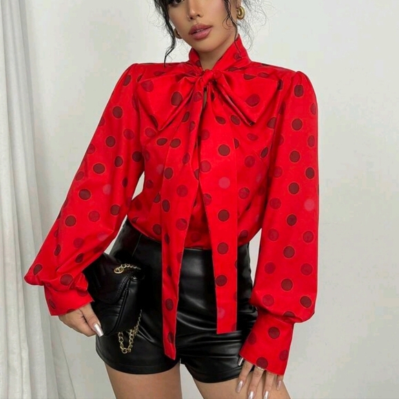 Women's Front Tie Long Sleeve Polka Dot Blouse, Casual Daily Wear - Picture 1 of 5